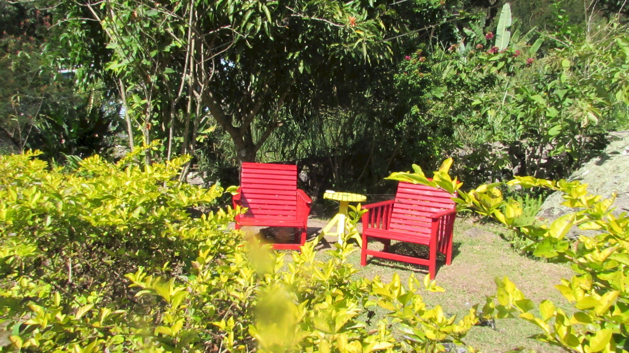 Rafjam Bed & Breakfast Kingston Buitenkant foto
